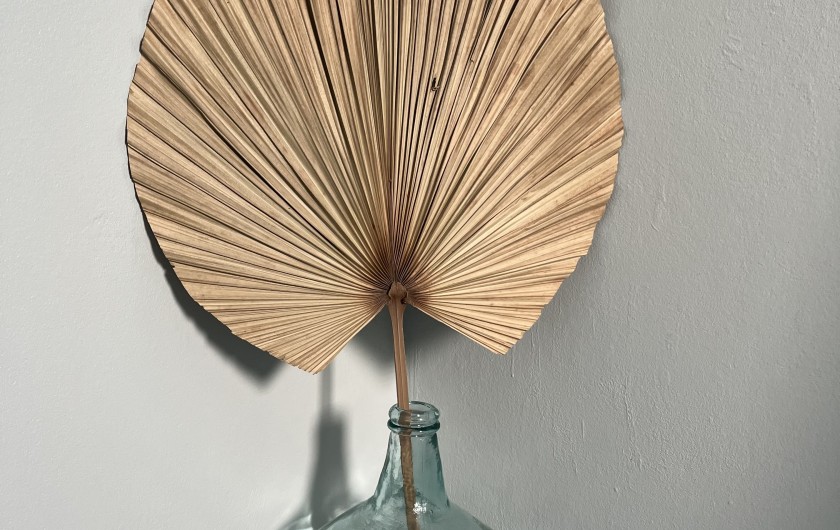 Location de vacances - Villa à Rivière-Pilote