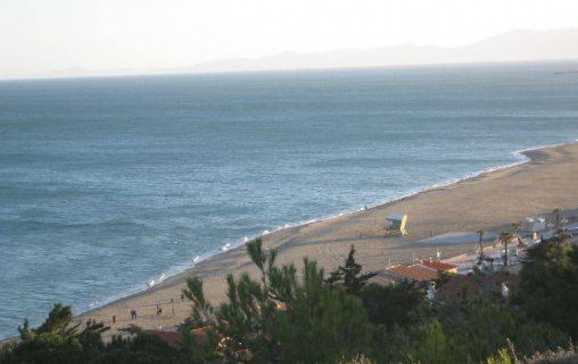 Location de vacances - Villa à Leucate