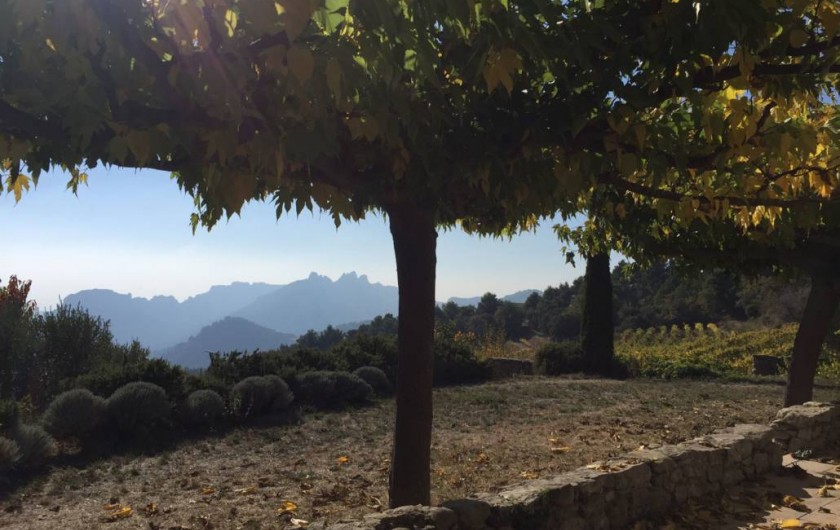 Location de vacances - Maison - Villa à Suzette - LE CLOS