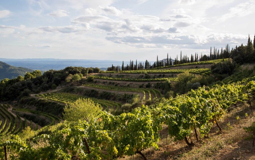 Location de vacances - Maison - Villa à Suzette