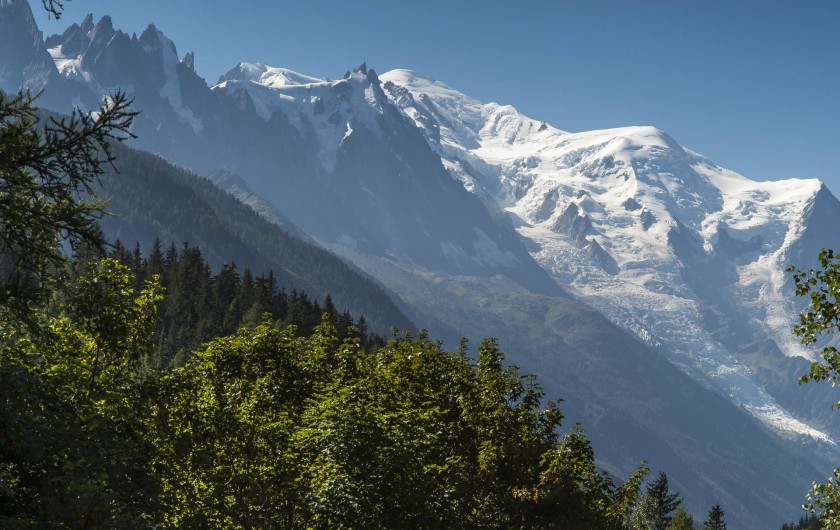 Location de vacances - Chalet à Chamonix-Mont-Blanc - Vue sur le Mont Blanc depuis le chalet