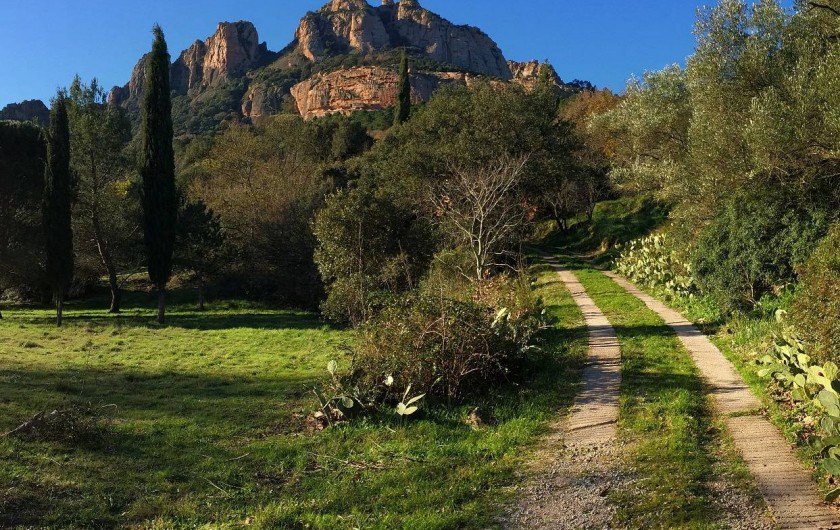 Location de vacances - Villa à Roquebrune-sur-Argens - Route d'accès au"Bastidon"