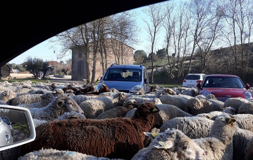 Location de vacances - Villa à Roquebrune-sur-Argens