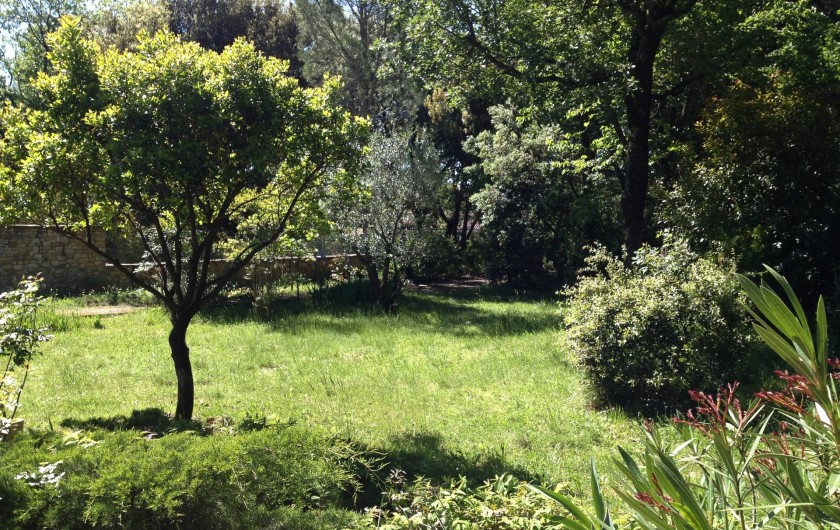 Location de vacances - Maison - Villa à Arpaillargues-et-Aureillac - jardin arboré