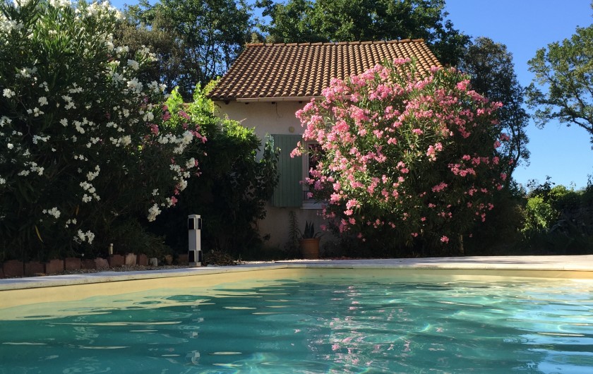 Location de vacances - Maison - Villa à Arpaillargues-et-Aureillac - piscine sud