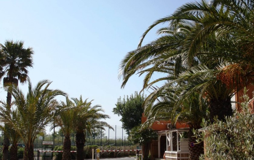 Location de vacances - Camping à Le Barcarès - Une nouvelle entrée pour la saison 2016 !