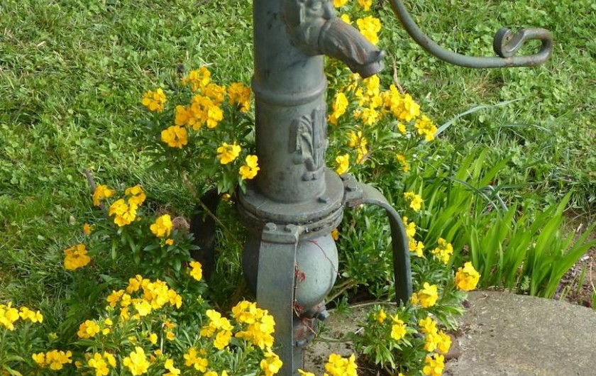 Location de vacances - Appartement à Toulouse - Jardin fleuri