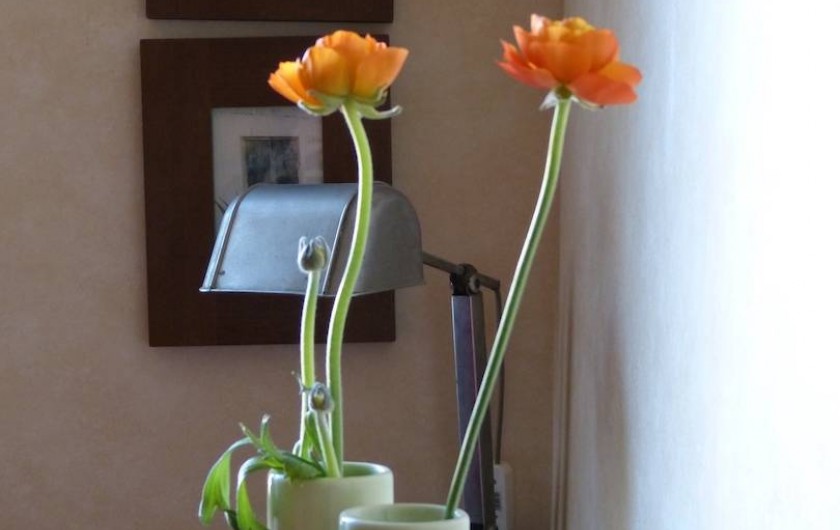 Location de vacances - Appartement à Toulouse