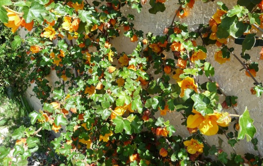 Location de vacances - Gîte à Aubres