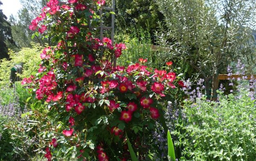 Location de vacances - Gîte à Aubres