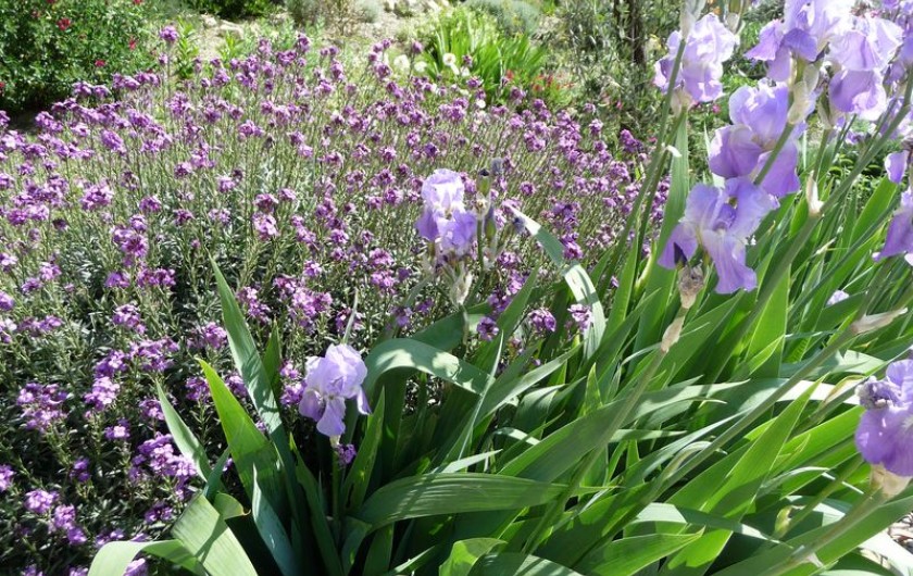Location de vacances - Gîte à Aubres