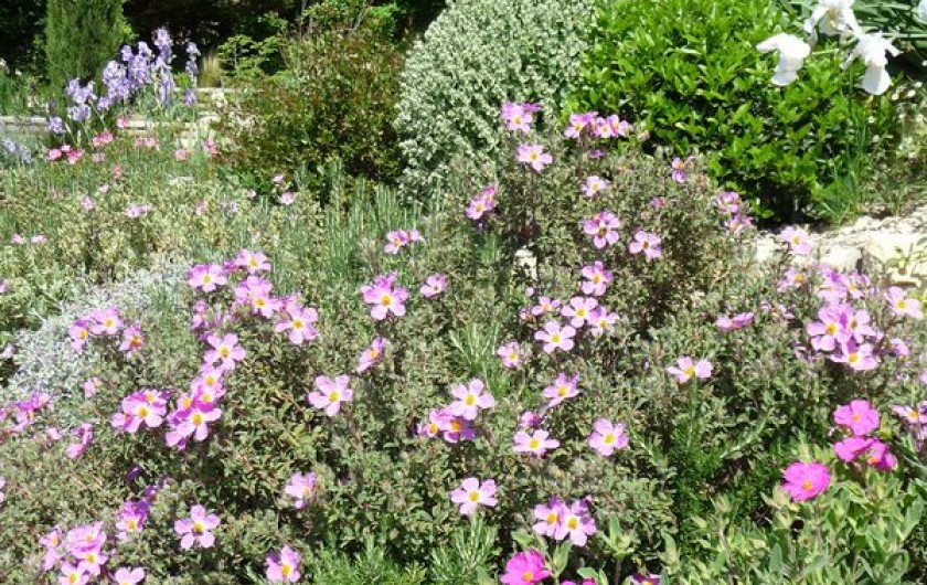 Location de vacances - Gîte à Aubres