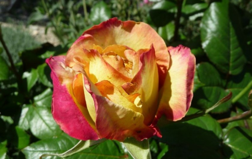 Location de vacances - Gîte à Aubres