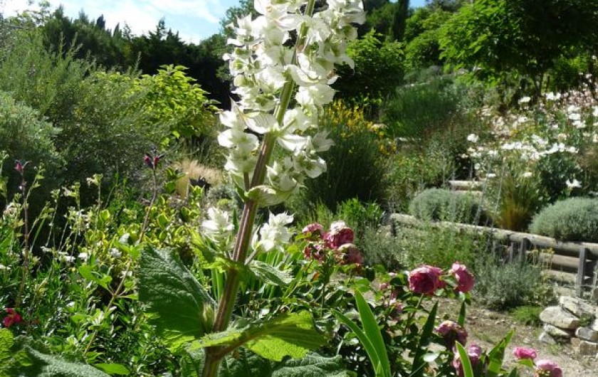 Location de vacances - Gîte à Aubres
