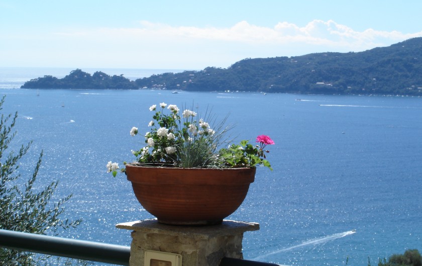 Location de vacances - Villa à Zoagli - Vue panoramique du terrasse a manger