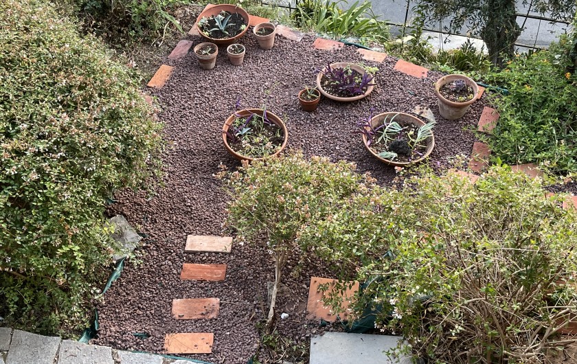 Location de vacances - Villa à Zoagli - Detail du jardin