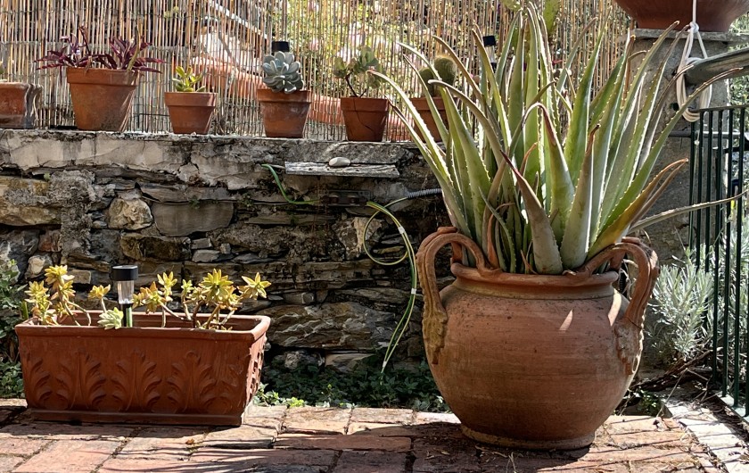 Location de vacances - Villa à Zoagli - Detail du terrasse