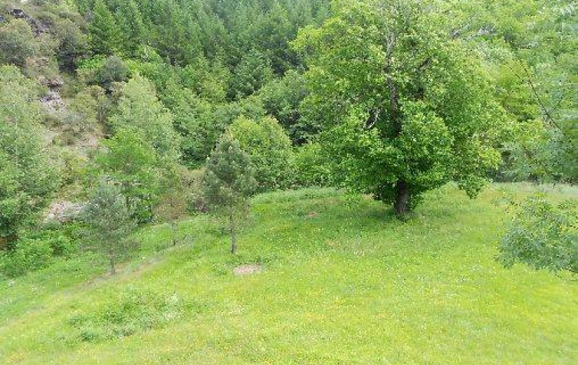 Location de vacances - Gîte à Saint-Hilaire-de-Lavit