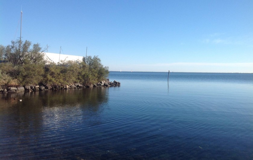 Location de vacances - Appartement à Marseillan