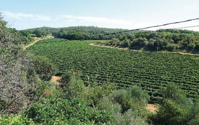 Location de vacances - Maison - Villa à Uzès
