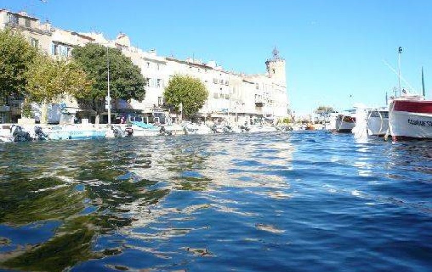 Location de vacances - Appartement à La Ciotat - Port vieux de la ciotat.Vente poisson et marché  provencal  