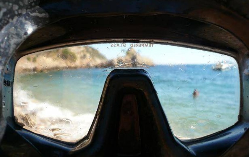 Location de vacances - Appartement à La Ciotat - Plage de galets,  avec de tres jolis fonds