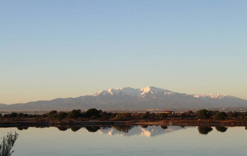 Location de vacances - Appartement à Le Barcarès