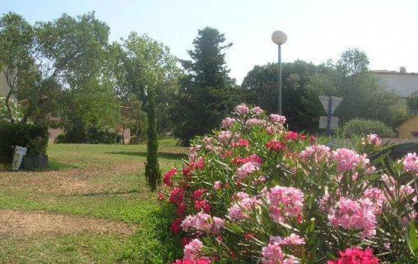 Location de vacances - Appartement à Sainte-Maxime