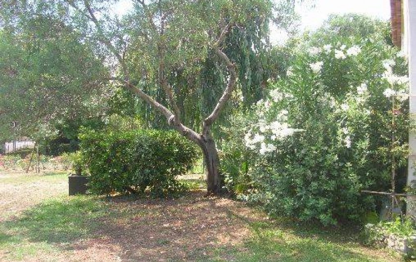 Location de vacances - Appartement à Sainte-Maxime