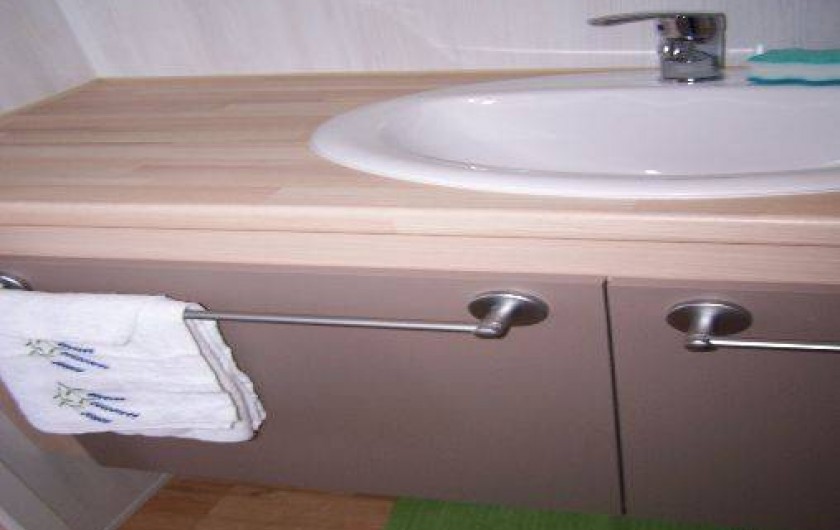 Location de vacances - Bungalow - Mobilhome à Saint-Denis-d'Oléron - lavabo dans salle d'eau