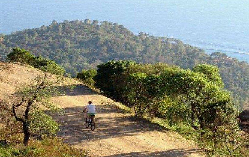 Location de vacances - Maison - Villa à Collobrières