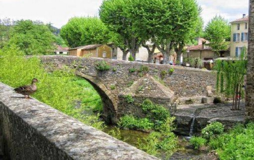 Location de vacances - Maison - Villa à Collobrières