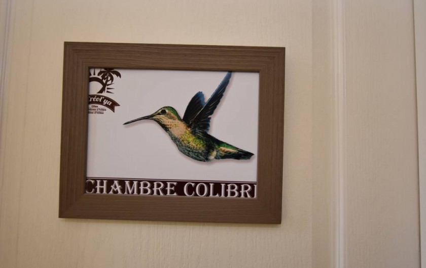 Location de vacances - Chambre d'hôtes à Lalinde - Chambre Colibri