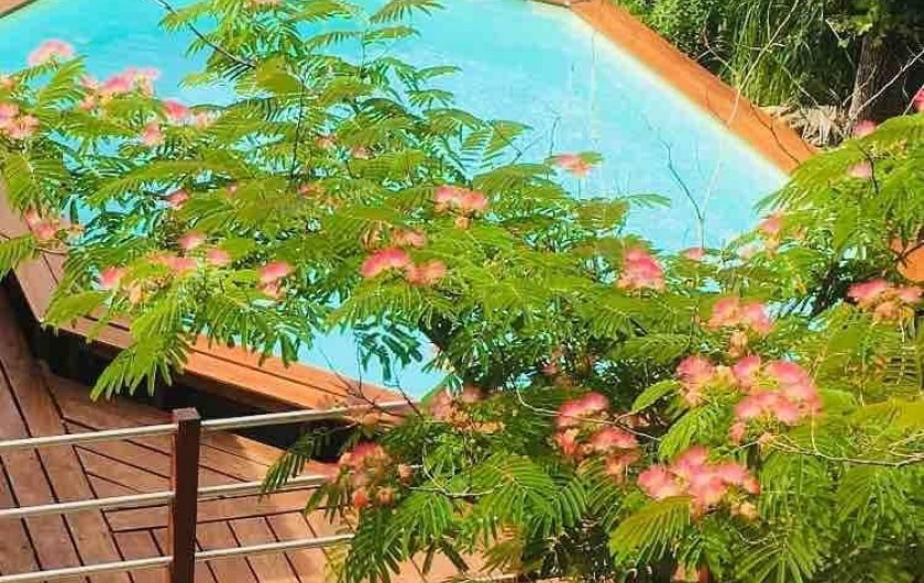 Location de vacances - Villa à Brignoles