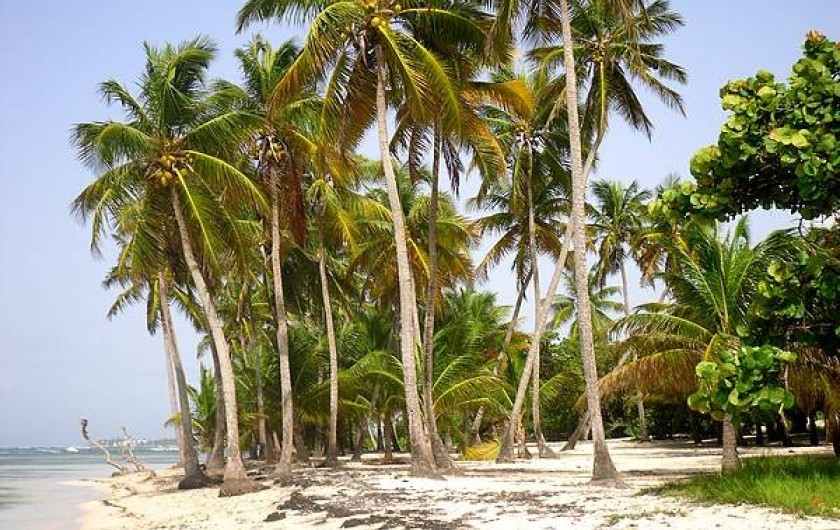 Location de vacances - Bungalow - Mobilhome à Sainte-Anne - Plage Bois Jolan