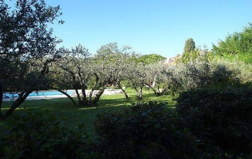 Location de vacances - Maison - Villa à Congénies