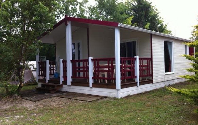 Location de vacances - Chalet à Parentis-en-Born - vue sud-ouest