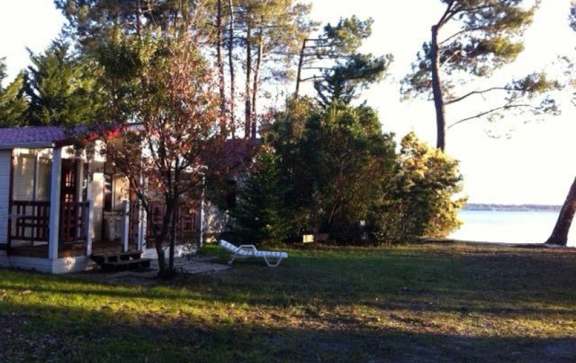 Location de vacances - Chalet à Parentis-en-Born - chalet et vue du lac
