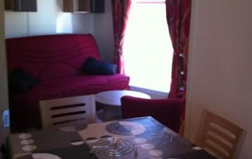 Location de vacances - Chalet à Parentis-en-Born - séjour salon