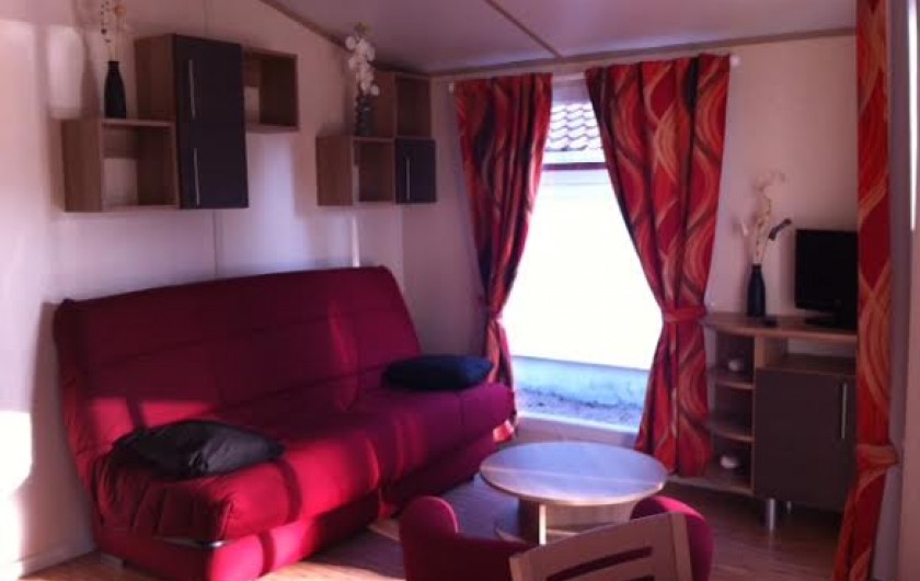 Location de vacances - Chalet à Parentis-en-Born - salon canapé convertible