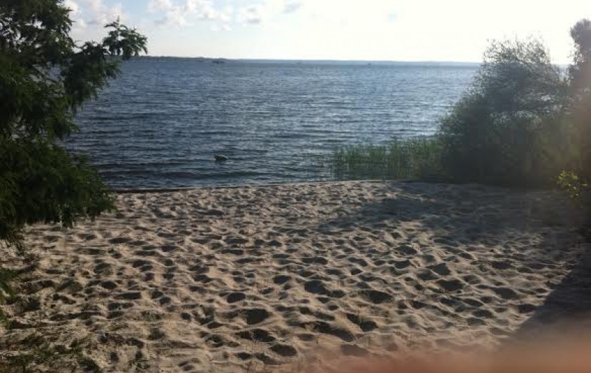 Location de vacances - Chalet à Parentis-en-Born - plage de sable
