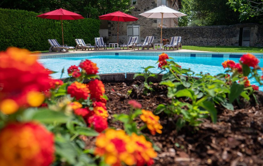 Location de vacances - Maison - Villa à Bessan - Flowers at the pool