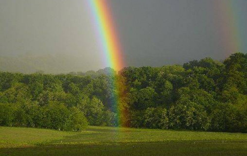 Location de vacances - Gîte à Lucq-de-Béarn - Vue sur la campagne