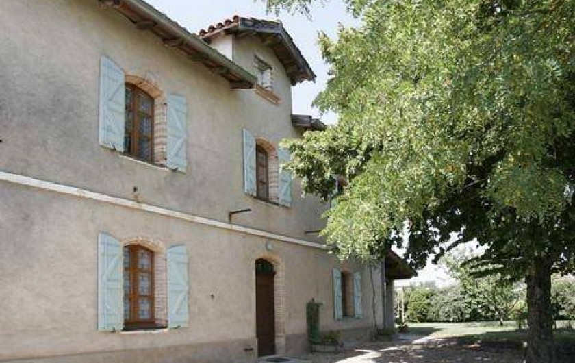 Location de vacances - Gîte à Lisle-sur-Tarn - vue extérieure