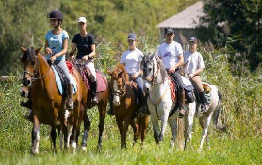 Location de vacances - Camping à Saint-Jean-de-Valériscle