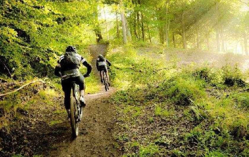 Location de vacances - Camping à Saint-Jean-de-Valériscle