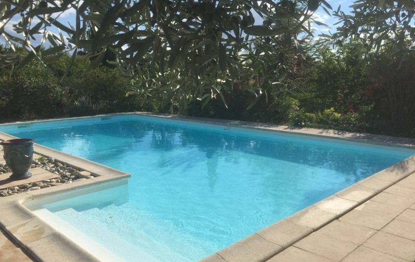 Location de vacances - Villa à Alès - La piscine et ses oliviers