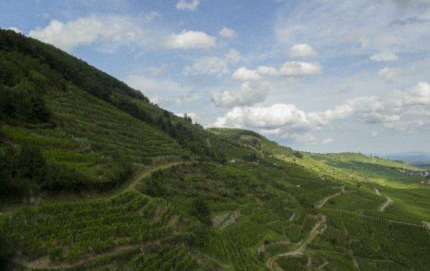 Location de vacances - Gîte à Kaysersberg