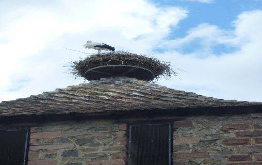 Location de vacances - Gîte à Kaysersberg