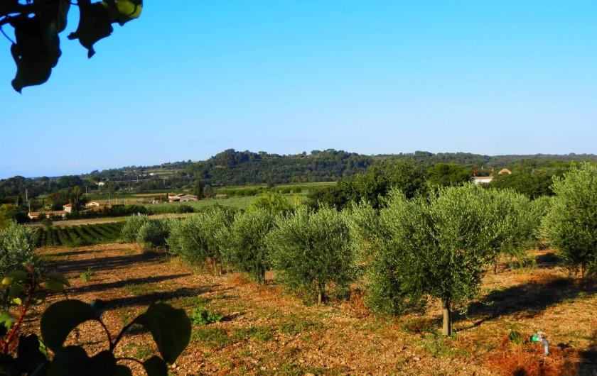 Location de vacances - Gîte à Pézenas